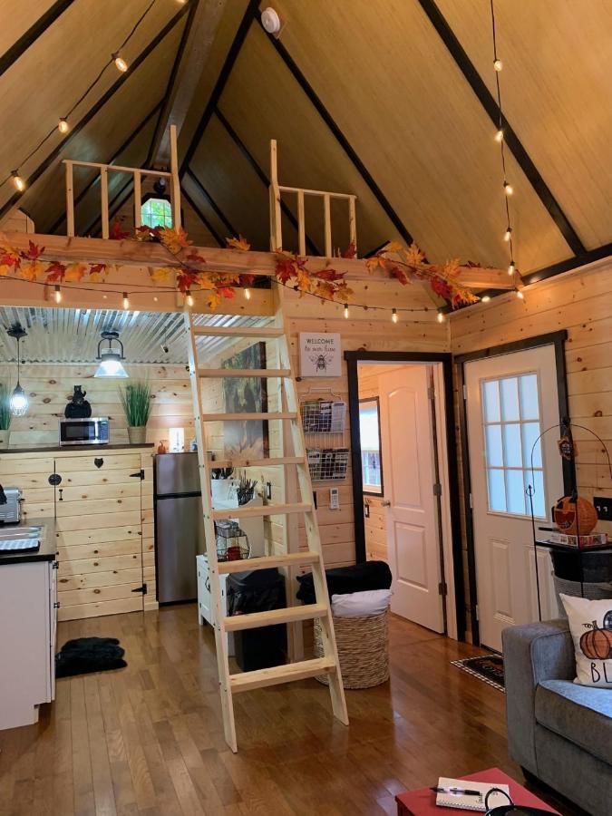 Coops Creek Cabins Dunlap 外观 照片