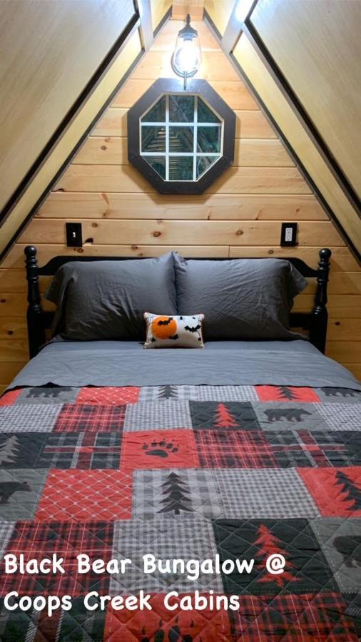 Coops Creek Cabins Dunlap 外观 照片